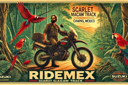 Track 8 Scarlet Macaws